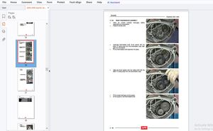 2004-2006 Aprilia 3AS-4AS Engines Workshop Manual - PDF DOWNLOAD