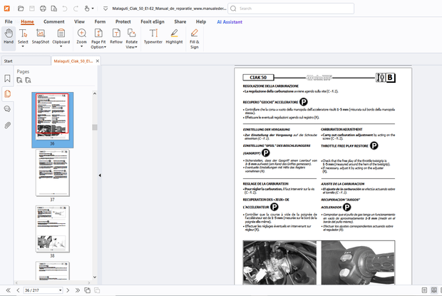 Malaguti Ciak 50 Euro 1- Euro 2 Service Manual - PDF DOWNLOAD 