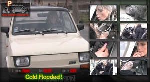 Cold Flooded