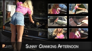 Sunny Cranking Afternoon