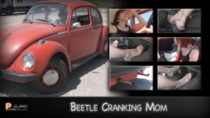 Beetle-Mania