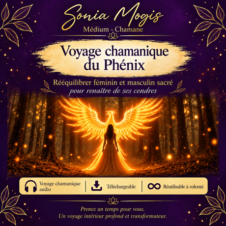 Voyage chamanique du Phénix