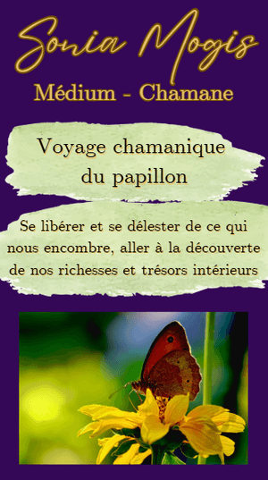 Voyage chamanique du papillon