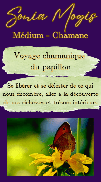 Voyage chamanique du papillon