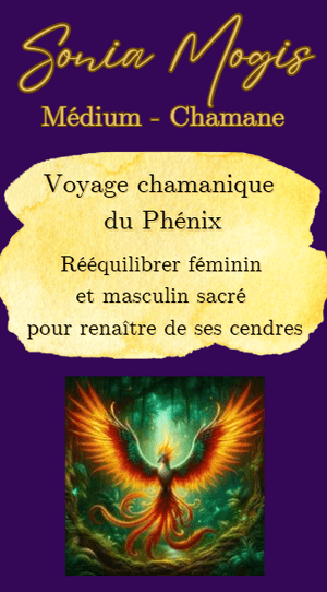 Voyage chamanique du Phénix