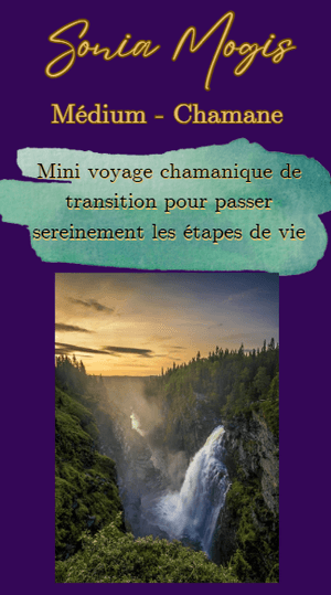 Mini voyage chamanique de transition