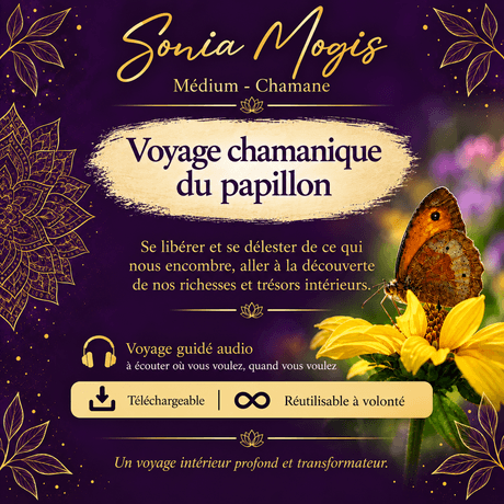 Voyage chamanique du papillon