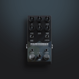 POLYSCENDENCE (FXPlugin)