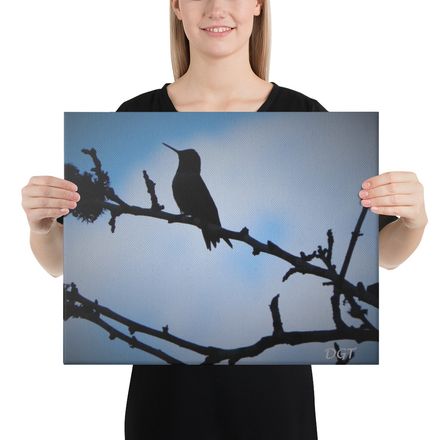 16x20 Canvas print-Hummingbird Sillouette