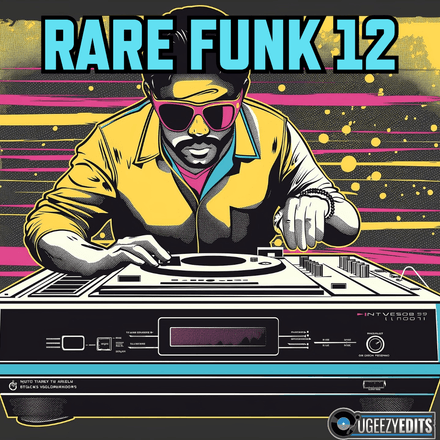 Rare Funk Vol 12