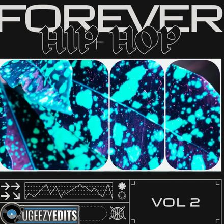 Forever Hip Hop Vol 2 ( 40 edits ) *explicit lyrics 