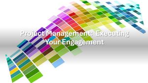 Project Management:   Executing Your Engagement