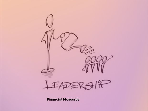 Lean Business Leader and Entrepreneur -   Financial Measures