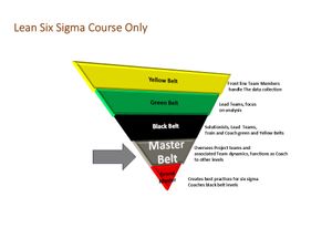 Lean Six Sigma Master Black Belt Series -  Course Only Package