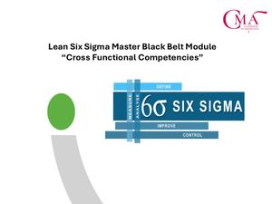 Master Black Belt Certification Module two:  Cross Functional Competencies