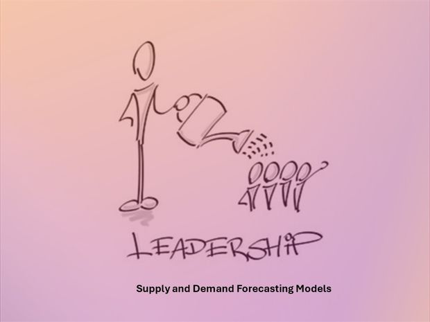 Lean Business Leader and Entrepreneur -   Supply and Demand Forecasting Models