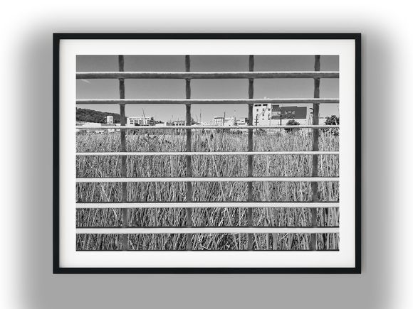 Urban View Through Metal Grate and Reeds Black And White Photo Digital Download