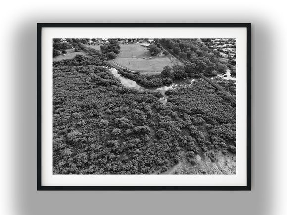 Aerial View of Lota Creek and Parklands Black And White Photo Digital Download