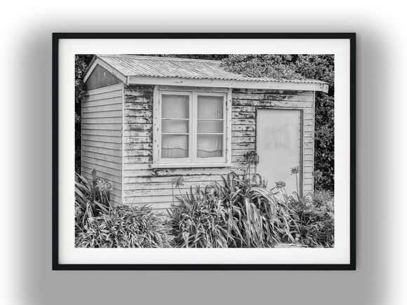 Rustic Weathered Wooden Garden Shed Surrounded by Foliage Black And White Photo Digital Download