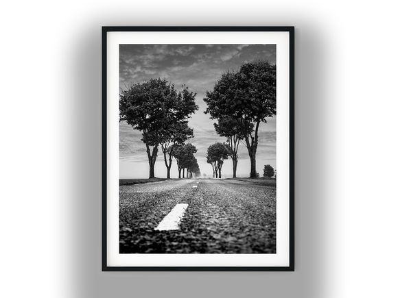 Empty Tree-Lined Road Disappearing into Mist Black and White Photo Digital Download