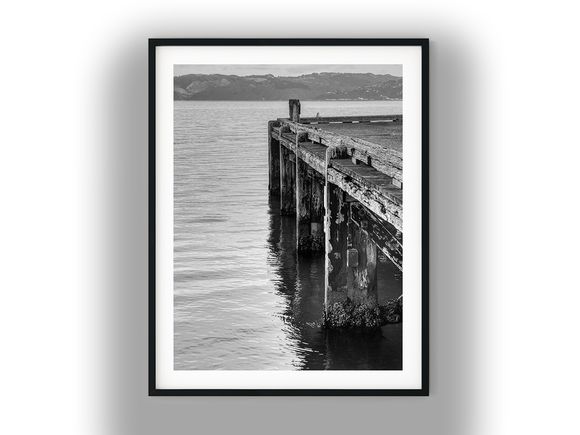 Weathered Timber Wharf Pilings at Eastbourne Black And White Photo Digital Download