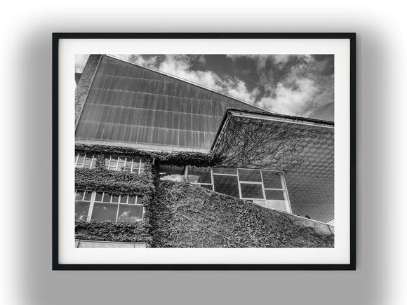 Ivy-Covered Stadium Grandstand Architecture Black And White Photo Digital Download