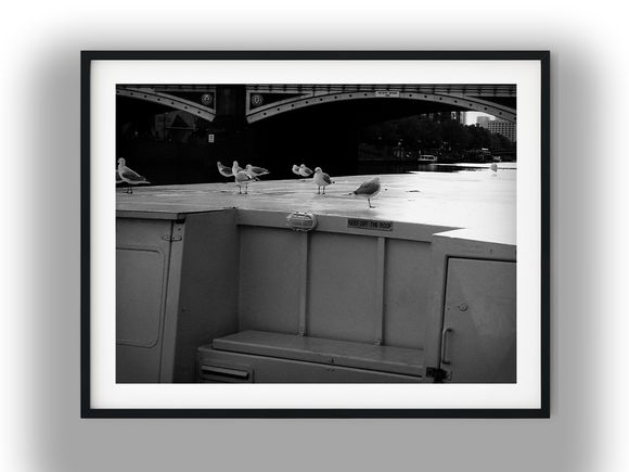 Seagulls on Boat Roof by Princes Bridge Black And White Photo Digital Download