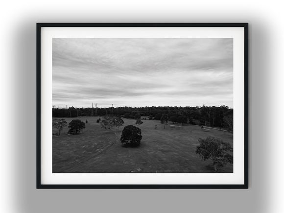 Aerial View of Expansive Parkland and Forest Edge Black and White Photo Digital Download