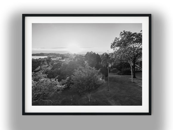 Mowbray Park Sunrise Over Brisbane River Black And White Photo Digital Download