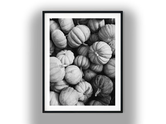 Overhead View of Harvested Ribbed Pumpkins Black And White Photo Digital Download