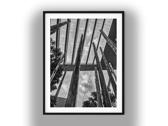 Timber Pillars Under Modern Glass Canopy Black And White Photo Digital Download