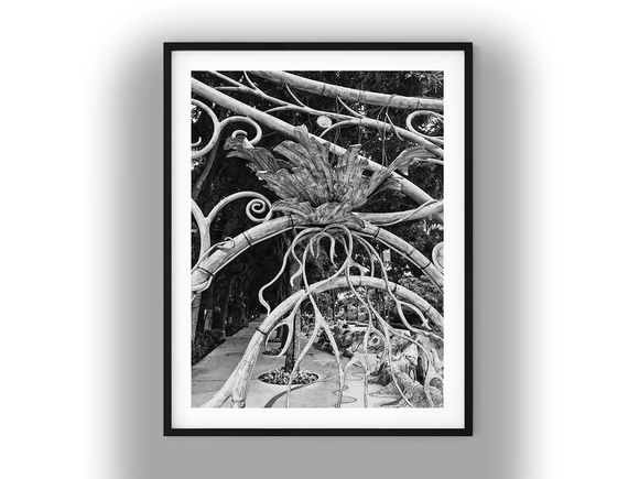Ornate Metal Botanical Arch Over Garden Walkway Black and White Photo Digital Download