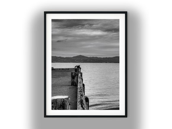 Fisherman and Seagull on Eastbourne Wharf Black And White Photo Digital Download