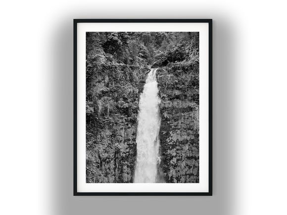 Powerful Waterfall Cascading Down Rocky Cliffside Forest Black and White Photo Digital Download