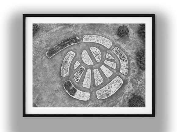 Aerial View of Circular Park Garden Beds Black and White Photo Digital Download