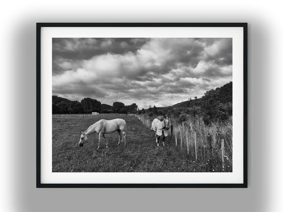Horses Grazing in a Silverstream Rural Paddock Black And White Photo Digital Download