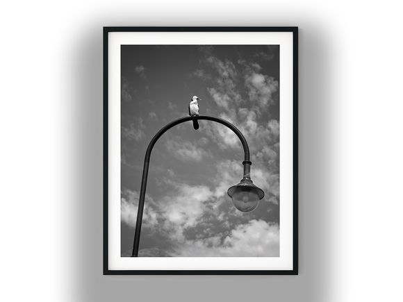 Bird Perched on Arched Street Lamp Black and White Photo Digital Download
