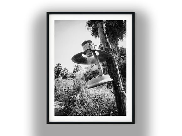 Rustic Oil Lantern Hanging by Tropical Pathway Black and White Photo Digital Download