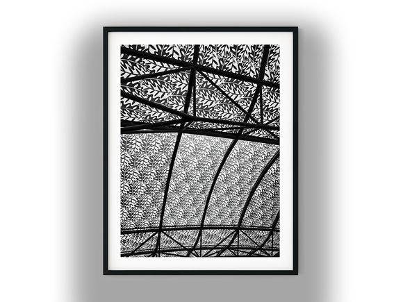Botanical Patterned Glass Skylight Canopy Black and White Photo Digital Download