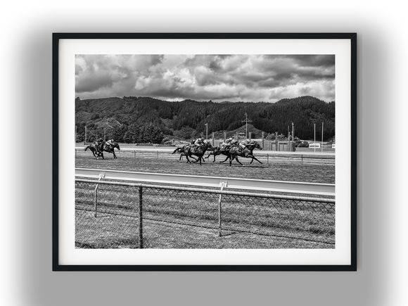 Thoroughbred Racing Action at Trentham Racecourse Black And White Photo Digital Download