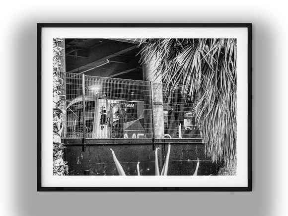 Train Behind Wire Fence and Palm Fronds Black And White Photo Digital Download