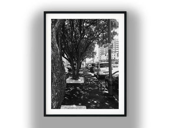 Tree-Lined City Sidewalk Beside Parked Cars Black And White Photo Digital Download