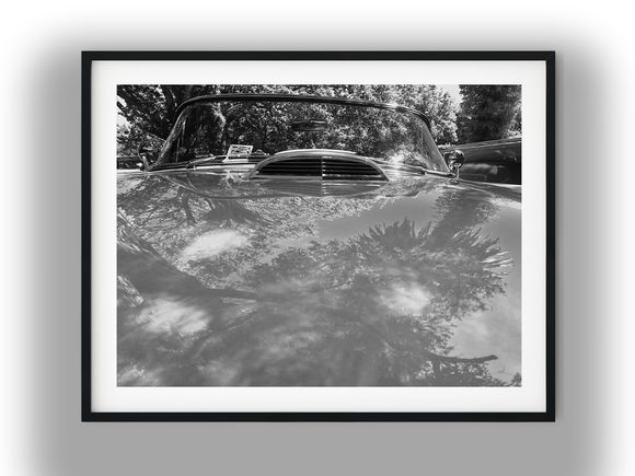 Tree Reflections on Vintage Convertible Hood Black And White Photo Digital Download