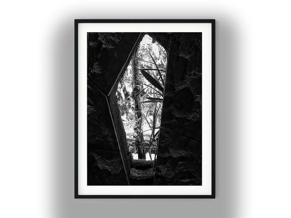 Tropical Garden Framed by Stone Wall Window Black and White Photo Digital Download