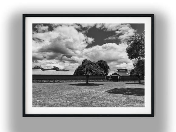 Solitary Tree on Lawn Under Dramatic Clouds Black And White Photo Digital Download