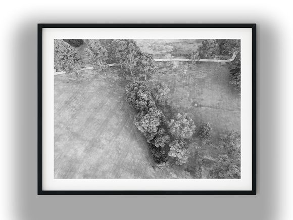 Aerial Overhead View of Park with Trees Black And White Photo Digital Download