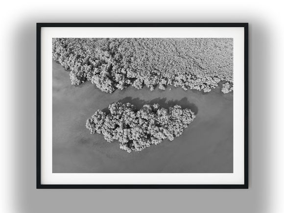 Aerial View of Mangrove Island Black And White Photo Digital Download