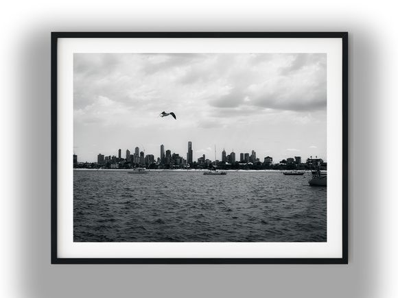Seagull Over Melbourne Skyline at St Kilda Black and White Photo Digital Download