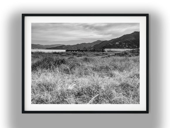 Coastal Grass and Wharf at Eastbourne Black And White Photo Digital Download