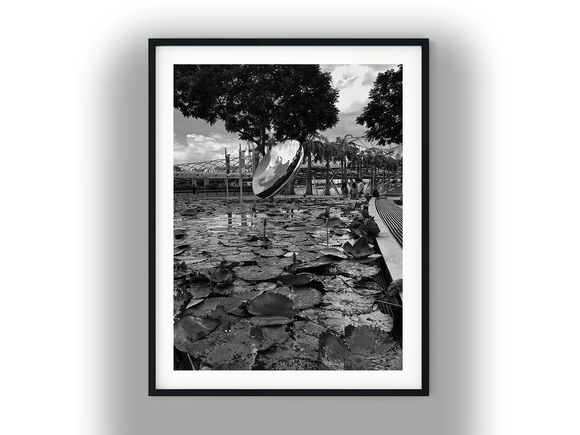 Lily Pond with Reflective Sculpture and Helix Bridge Black and White Photo Digital Download